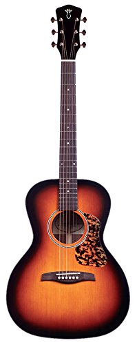 Amazon.co.jp: Gary E. Levinson アコースティックギター LG